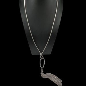 C. Wonder Long Silver Tone Tassel Necklace